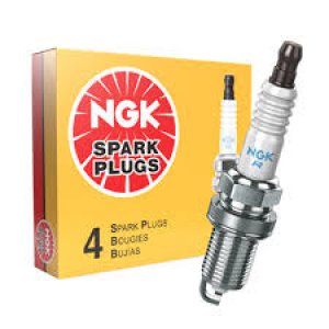 Sparkplugs